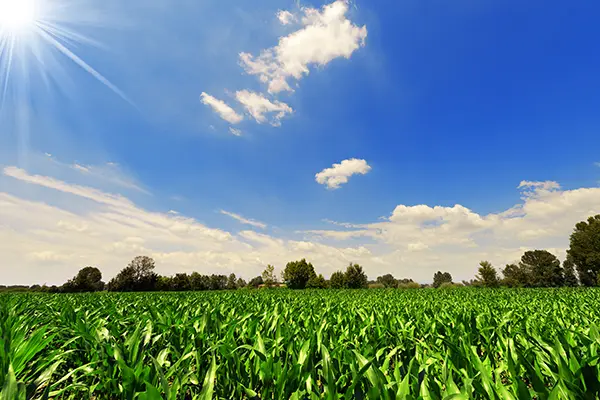 A New Landscape for Biofuels Blending